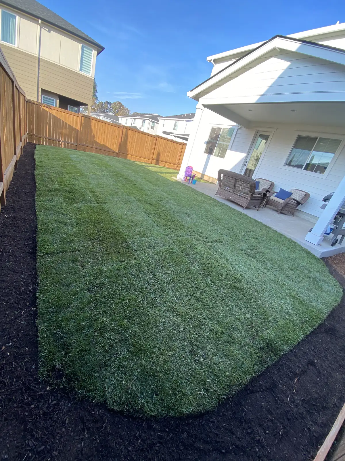 Fresh sod installation in fenced backyard by CreekView Landscape