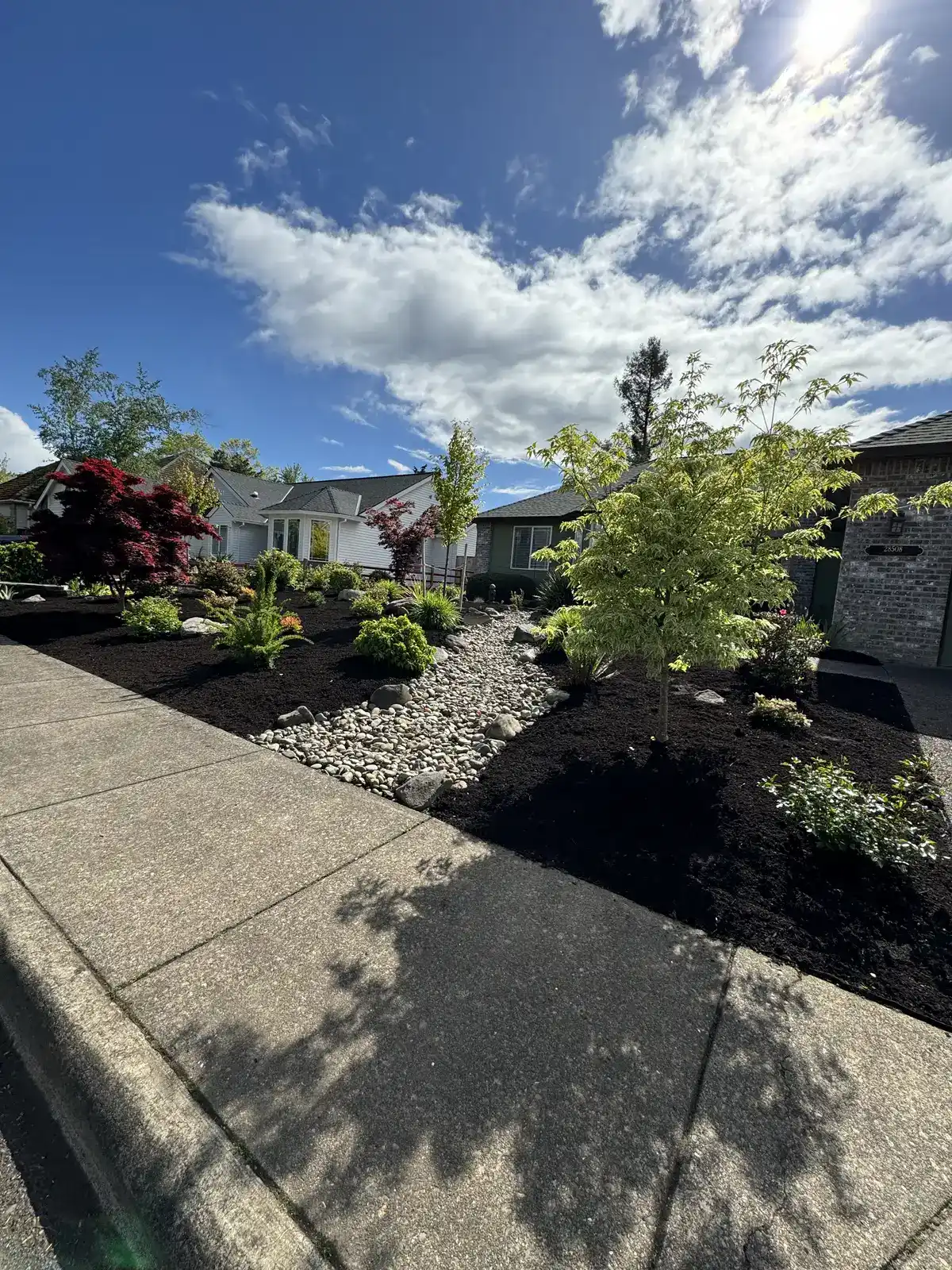 Front yard with Japanese maples and dry creek rock by CreekView Landscape