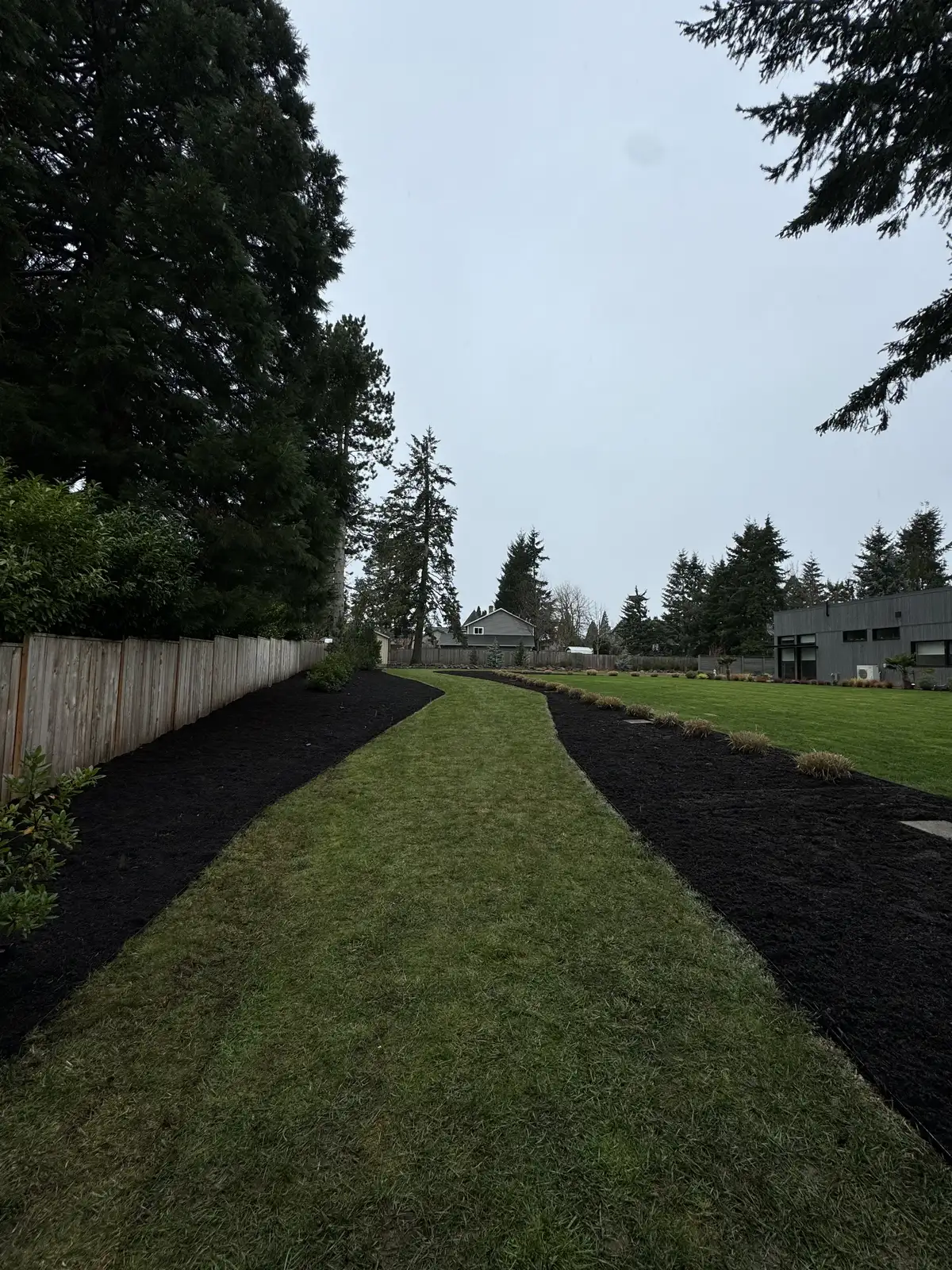 Wilsonville-area landscape bed with fresh plantings and clean finish work by CreekView Landscape