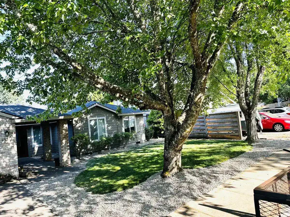 Finished backyard landscaping with lawn and clean planting bed lines by CreekView Landscape