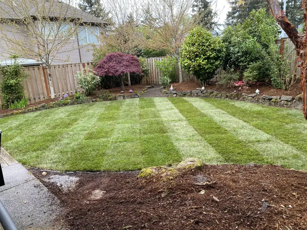 Completed sod installation with striped lawn by CreekView Landscape in Oregon