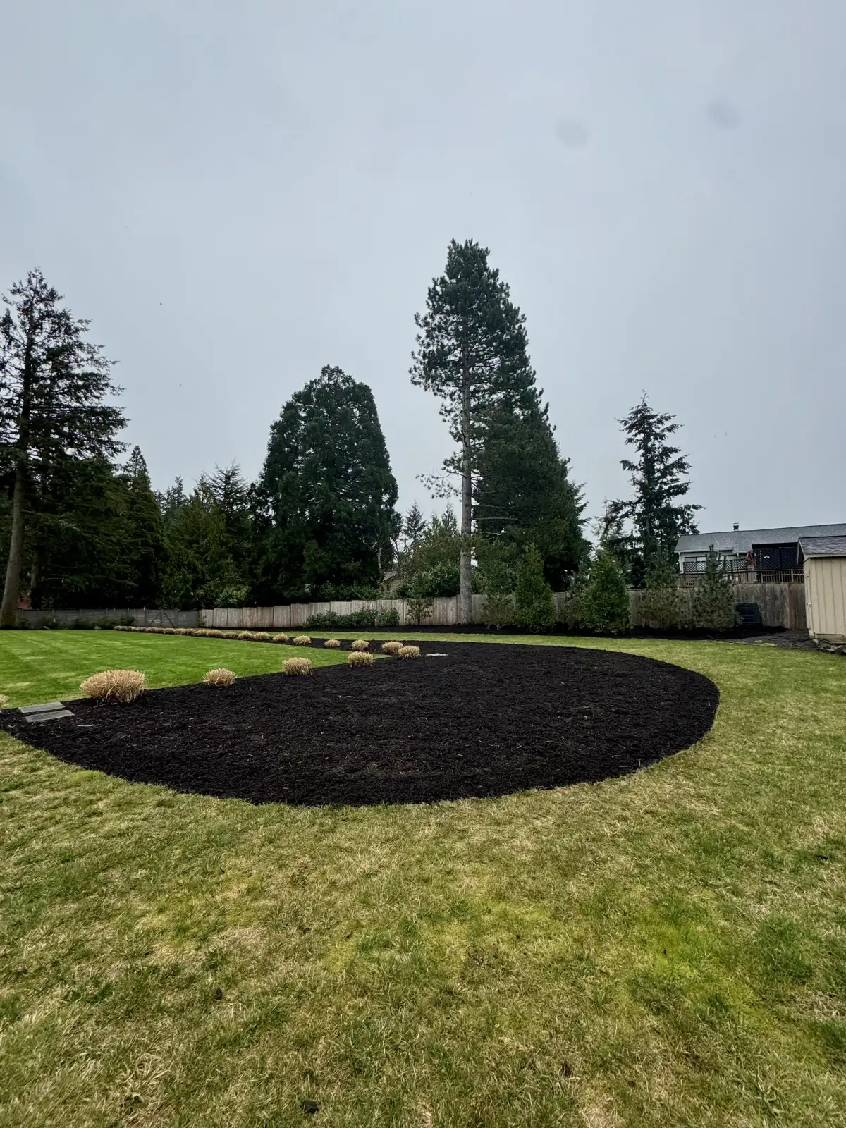 Fresh mulch installation in landscape beds in Wilsonville