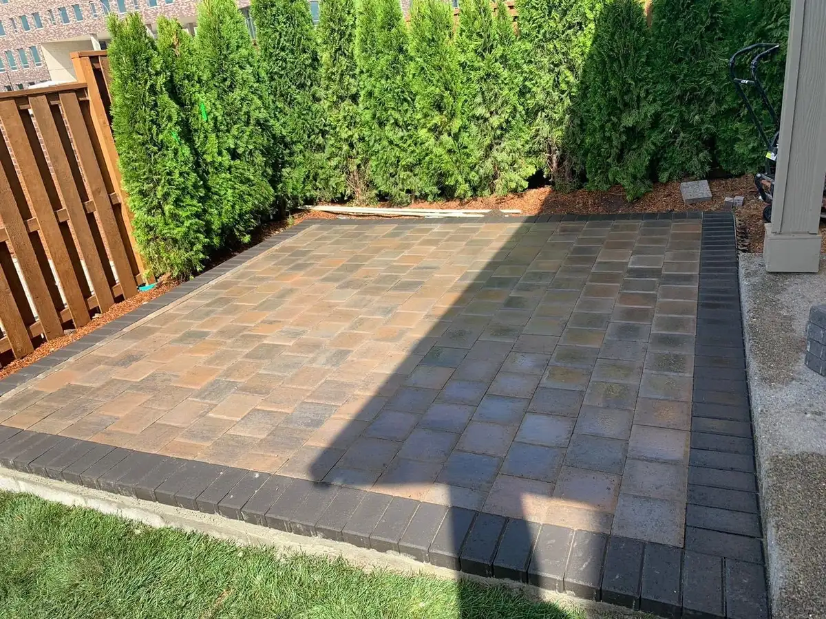 Multi-tone paver patio with arborvitae by CreekView Landscape in Wilsonville Oregon